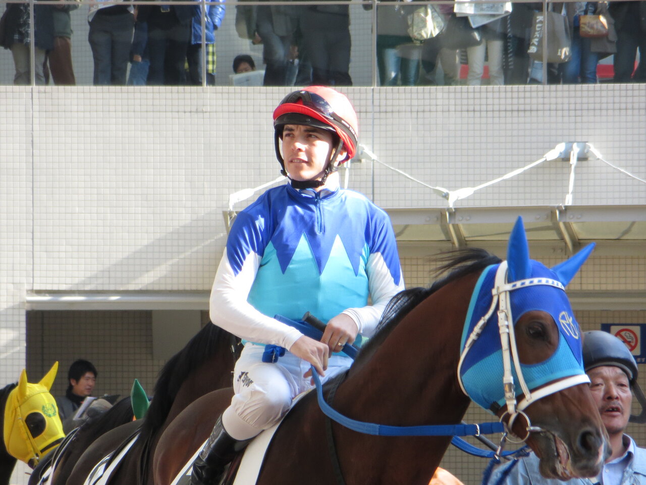 Les 10 meilleurs jockeys français qui ont marqué l'histoire des courses hippiques #5
