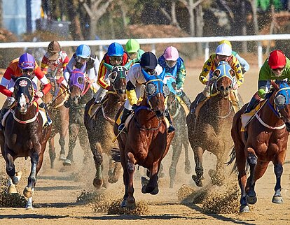 jockeys france